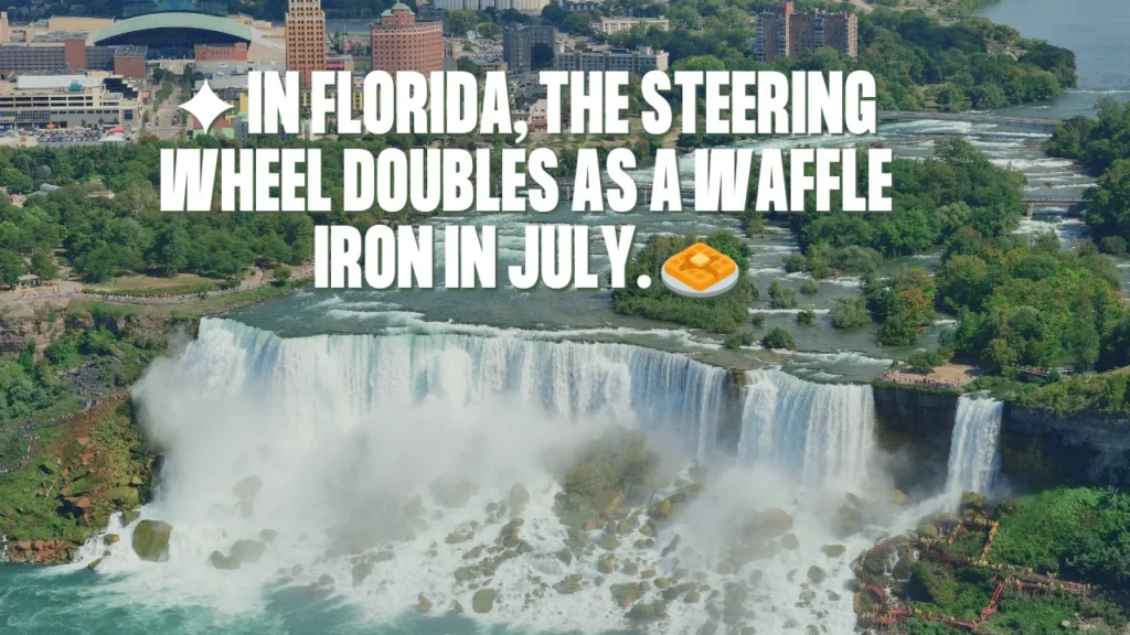 Funny Florida Captions & Florida Instagram Captions That Hit Different