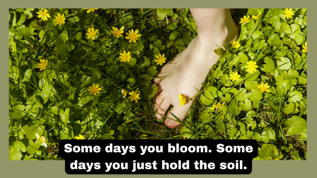 300+ Best Flower Captions for Instagram πΈ