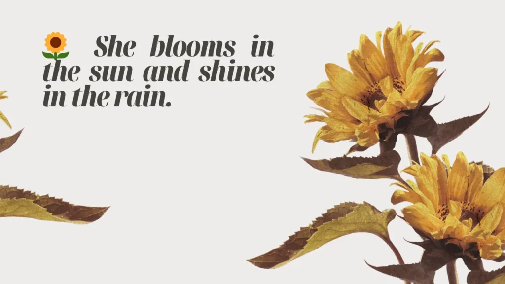 Best Sunflower Captions for Instagram (Short, Sweet & Sun-Kissed)