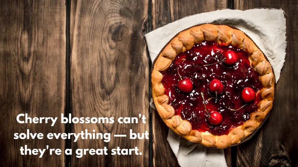 Romantic & Dreamy Cherry Blossom Captions