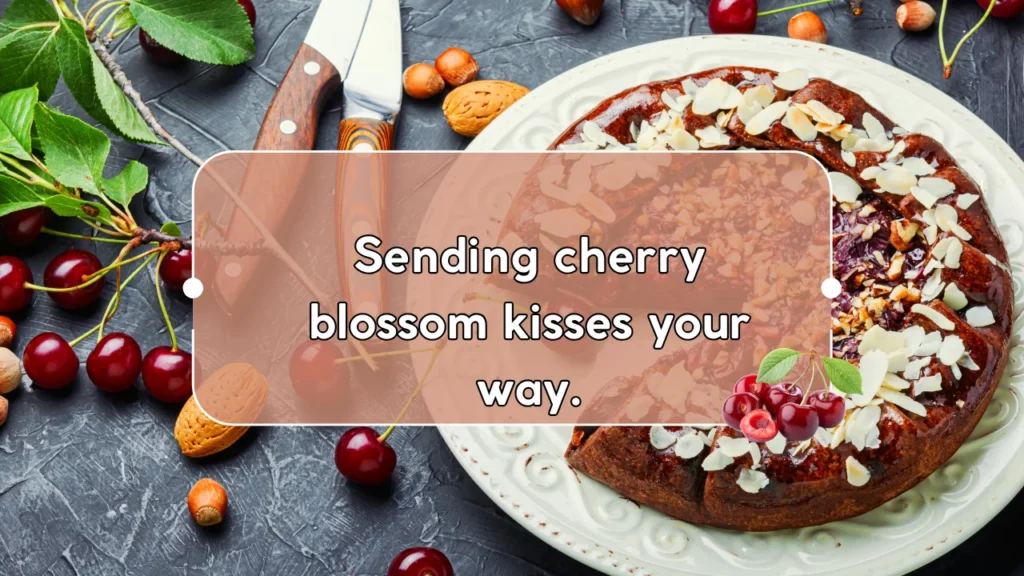 Inspirational Cherry Blossom Quotes & Captions