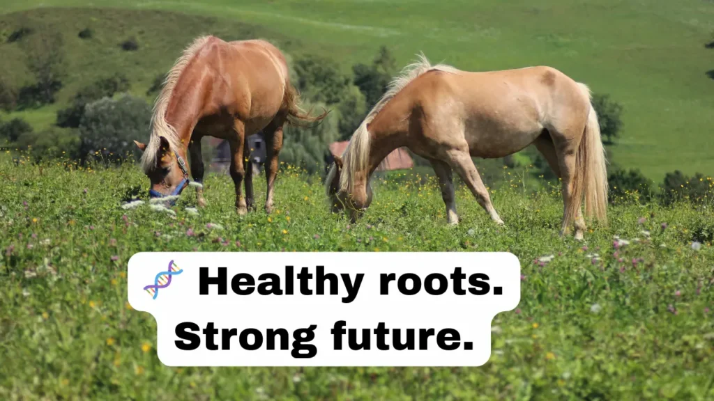 995+ Breeding Captions for Instagram That Go Viral