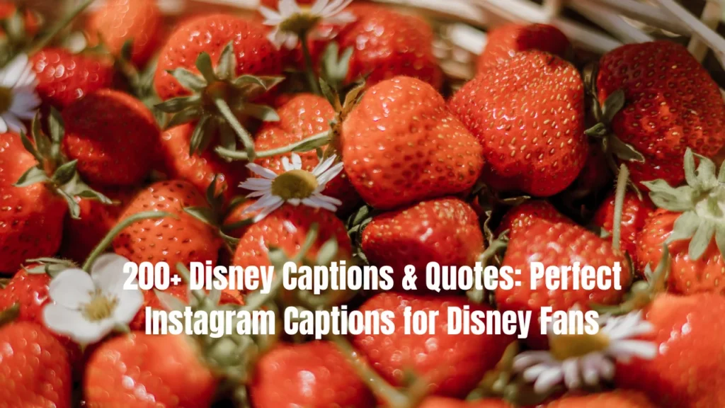 200+ Disney Captions & Quotes: Perfect Instagram Captions for Disney Fans