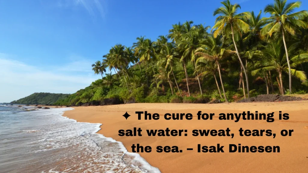 Inspirational, Family & Adventure Cruise Captions