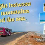 300+ Travel Captions for Instagram (Funny, Short & Adventure Quotes)