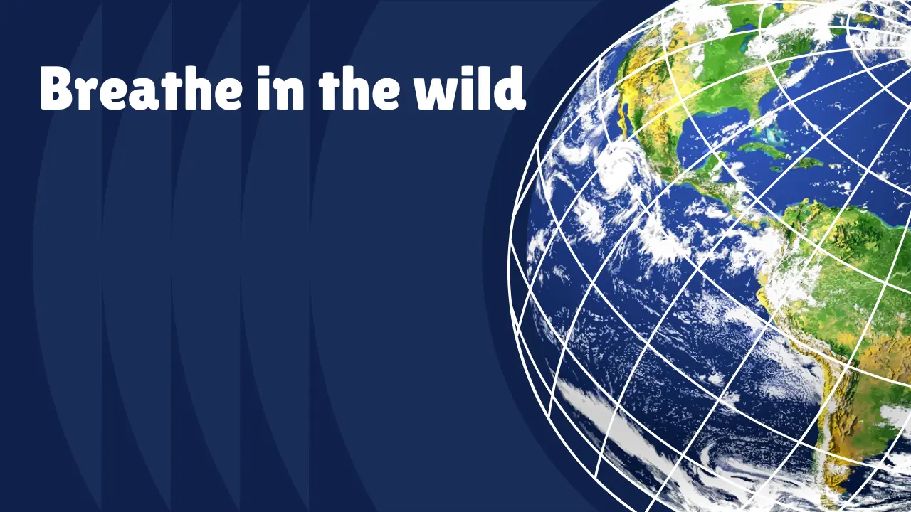 300+ Earth Day Instagram Captions That Inspire Eco Love