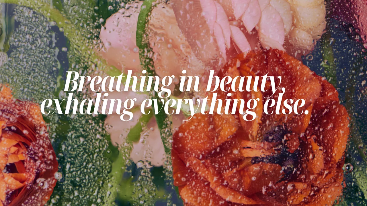 300+ Nature Captions for Instagram (Beautiful, Short & Aesthetic Quotes)