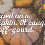 300+ Pumpkin Patch Instagram Captions (Cute, Funny & Fall Vibes Quotes)