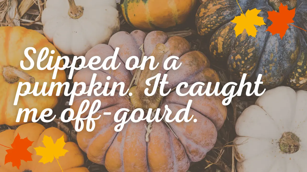 300+ Pumpkin Patch Instagram Captions (Cute, Funny & Fall Vibes Quotes)