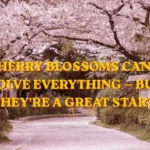 300+ Cherry Blossom Captions 🌸 (Cute, Romantic & Aesthetic Instagram Quotes)