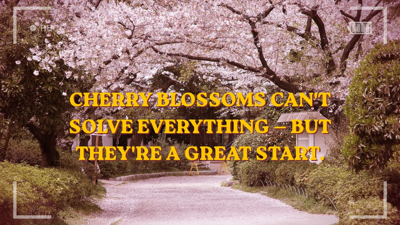 300+ Cherry Blossom Captions 🌸 (Cute, Romantic & Aesthetic Instagram Quotes)