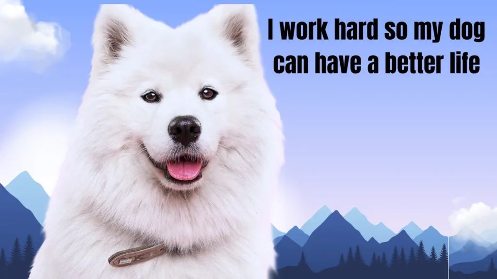 Best Instagram Hashtags to Use With Your Funny Dog Captions