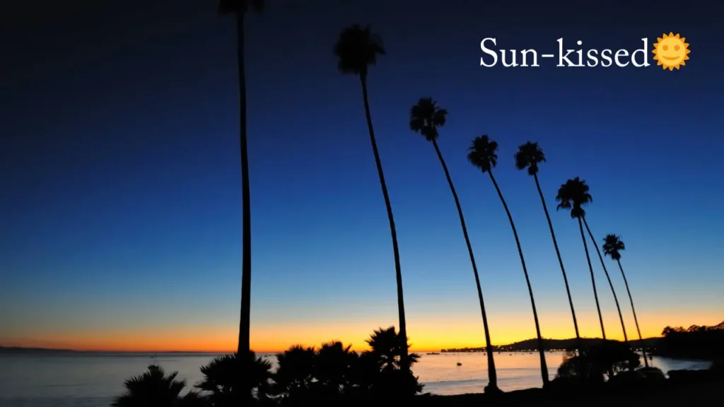 Best California Instagram Captions for Every Golden State Mood