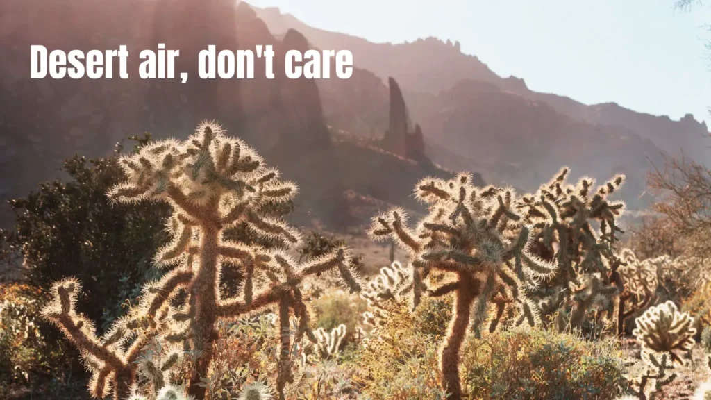 Arizona Instagram Captions by Mood & Vibe